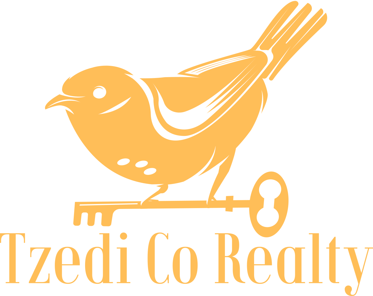 Tzedi Co Realty