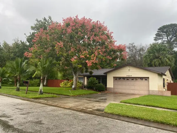 7637 High Meadow Cir, Orlando, FL 32822