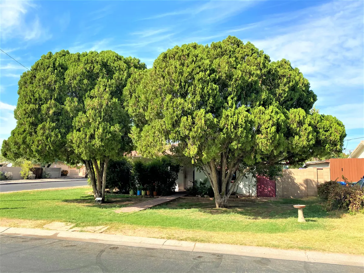 2046 West Medlock Drive, Phoenix, AZ 85015