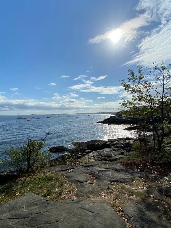 55 Meadow Pl, Rye, NY 10580