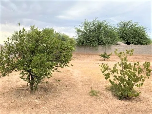6250 W Illini St  Phoenix, Az 85043,