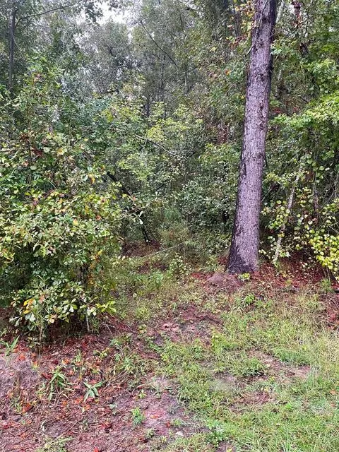 Saint George SC Vacant Land for Sale $62,000,AgentOwned Realty