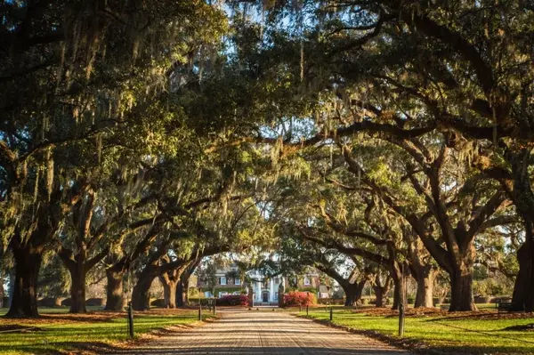 We visited Boone Plantation in Mt. Pleasant, a must see in Charleston!,AgentOwned Realty