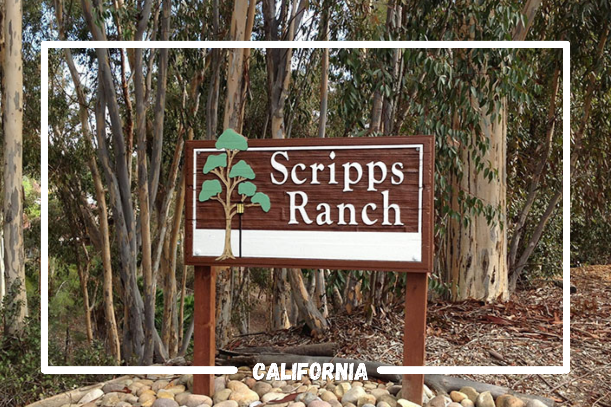 scripps ranch california 92131