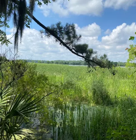 Middleton Place Equestrian Center,Elizabeth Rego