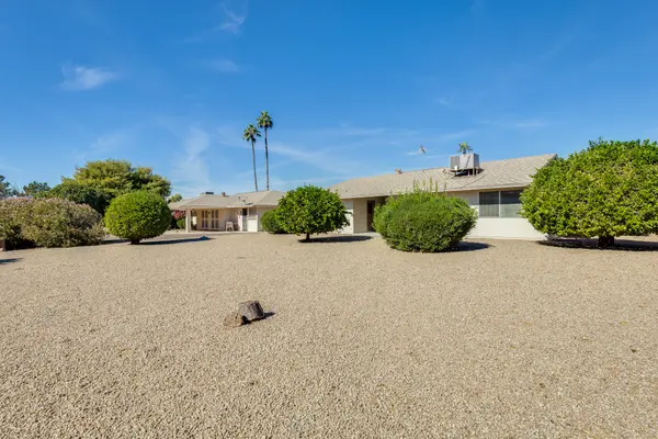 9723 W Spanish Moss Ln, Sun City, AZ 85373