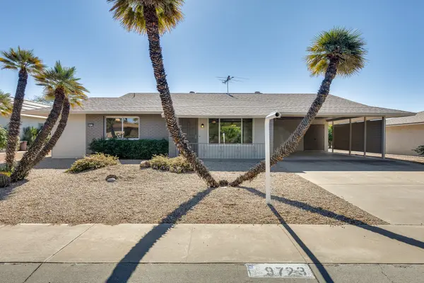 9723 W Spanish Moss Ln, Sun City, AZ 85373