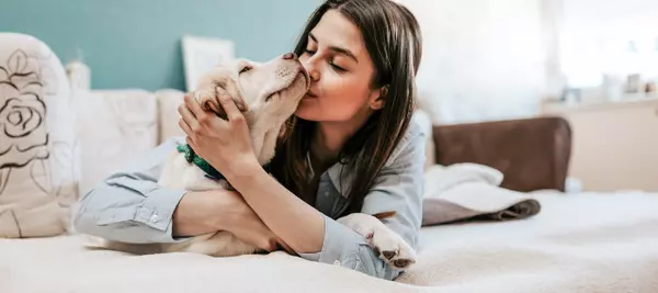 Moving When You Have a Pet, What Should You Think About?,Brad Kothlow PREC*