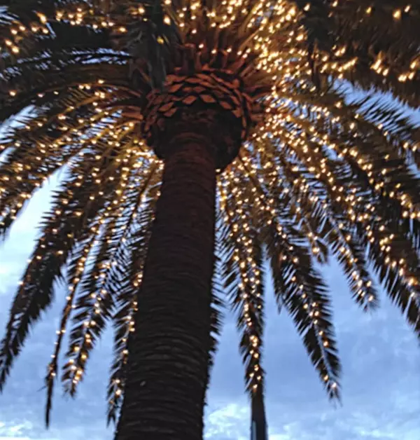 Charleston Holiday Events ,Donna Andreano