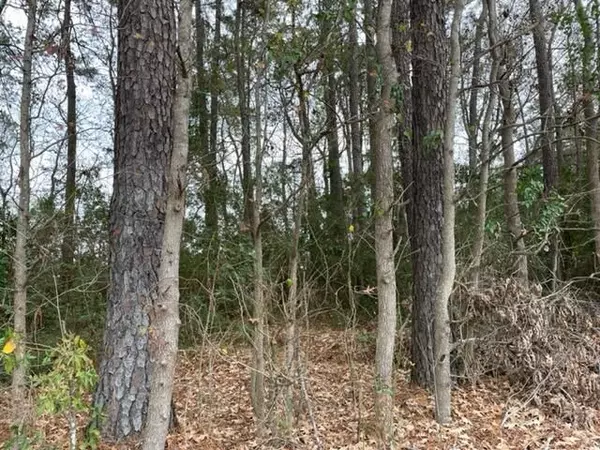 Goose Creek SC Vacant Land for Sale $25,000,AgentOwned Realty
