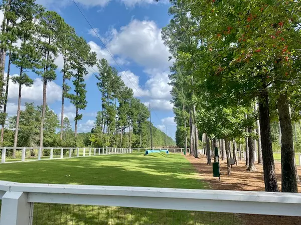 Life in Nexton: Amenities for Everyone and Every Dog,Elissa Campbell