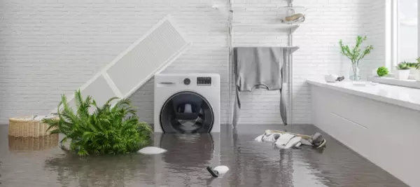 What is Water Damage, How Does it Affect Your House, and How Can You Fix It?,Brad Kothlow PREC*