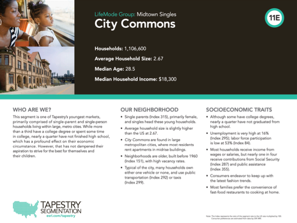 ALEX Labs ESRI Tapestry Segmentation City Commons