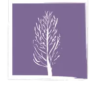 Purple Tree Group