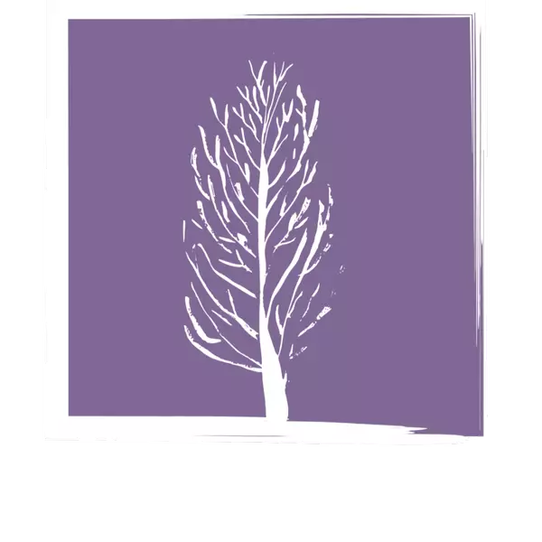 feature image of Meet testnewsite4: Your Trusted Real Estate Expert in Santaluz, San Diego, CA