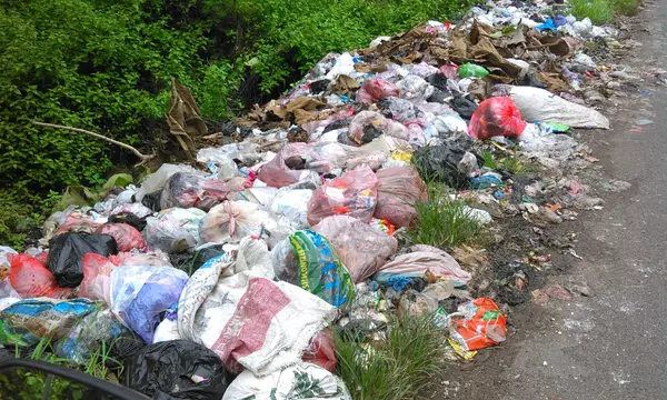 Making Your Home More Sustainable,Stephanie Schade