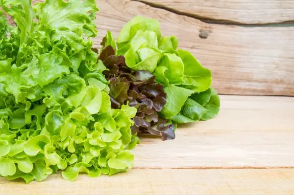 Doylestown Farmers Market is Now Open!,Stephanie Schade