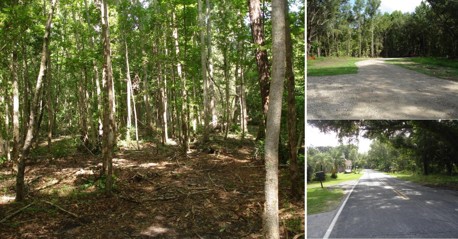 Ravenel SC Land for Sale