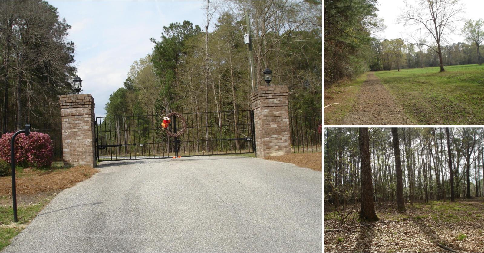 Adams Run SC Land for Sale
