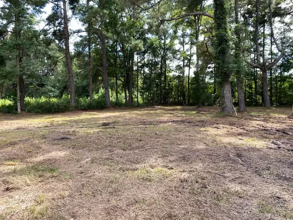 Summerville SC Land for Sale $199,000,AgentOwned Realty