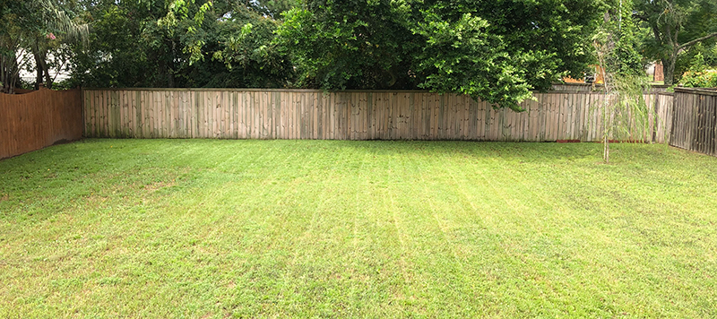 Perfectly mowed lawn
