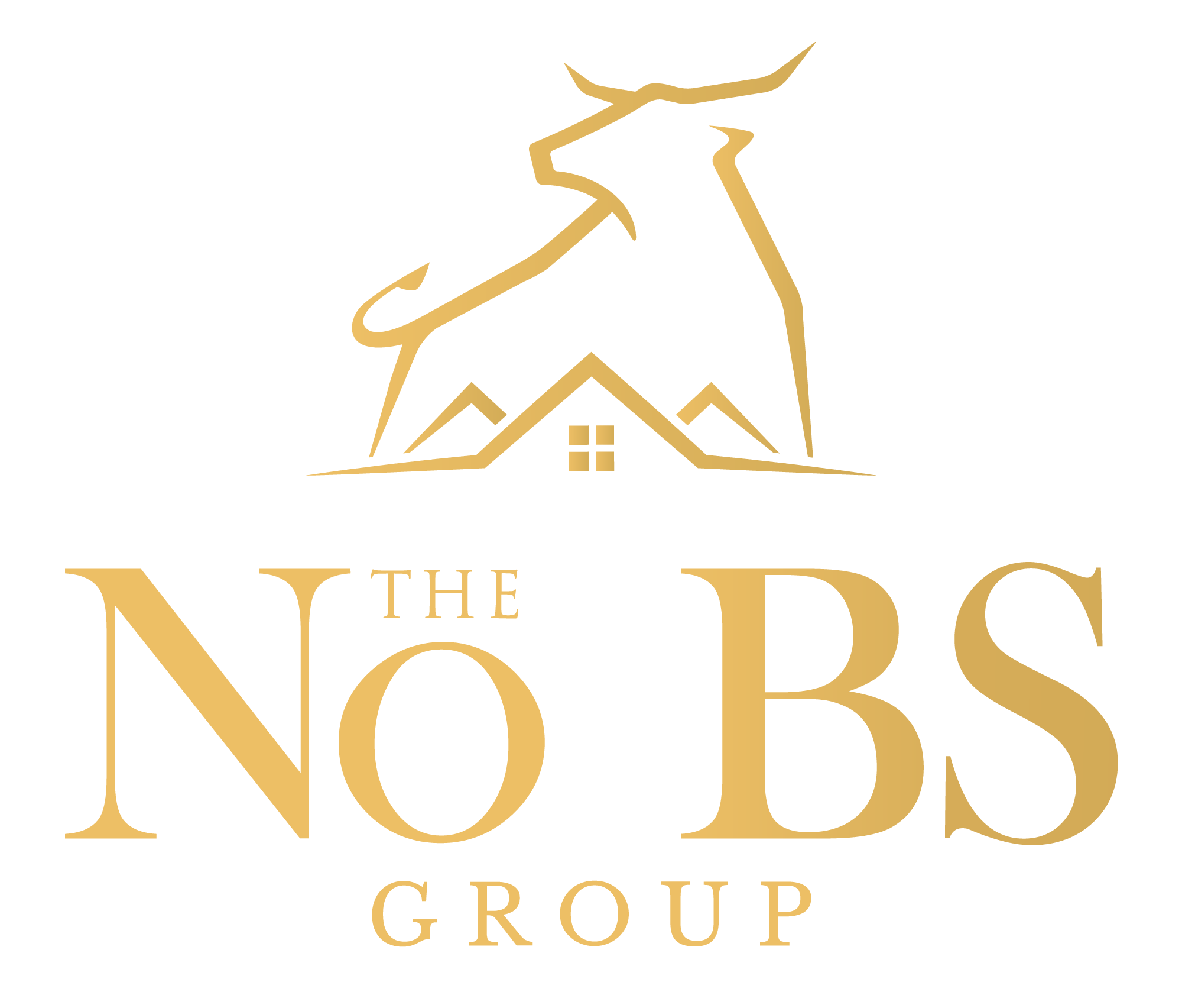 NO BS LOGO