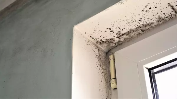 ULTIMATE GUIDE TO PREVENT WATER DAMAGE AT HOME (2022),Cody Walker