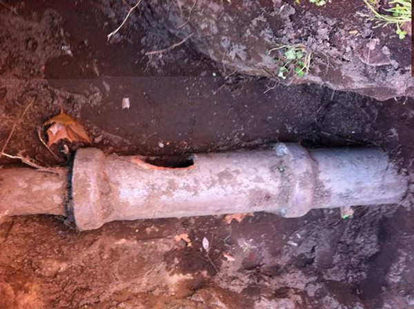 Do I Need a Sewer Scope?,David Campbell