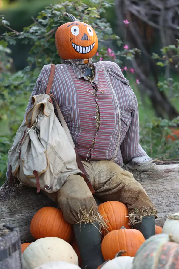 Canby, OR Scarecrow Display!,Jennifer Schurter