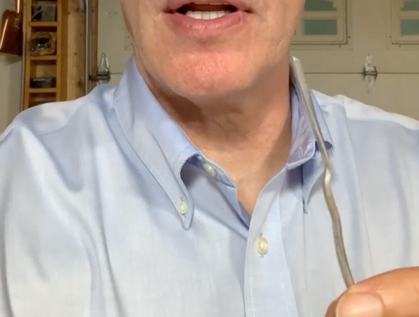 Aluminum Wiring,David Campbell
