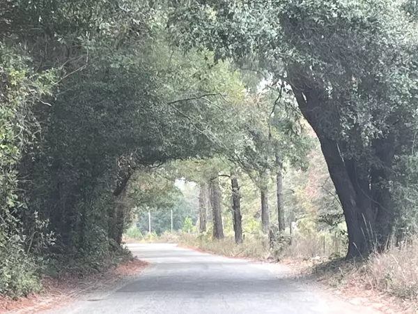 Smoaks, South Carolina - Country Or Rural?,Catherine Despotovic