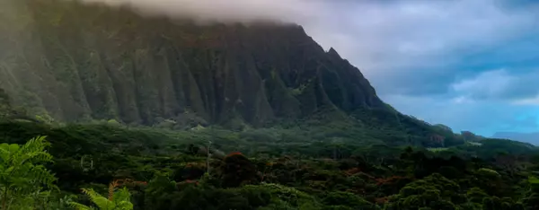 Living on Oahu: Windward Adventures,Lexi Brown