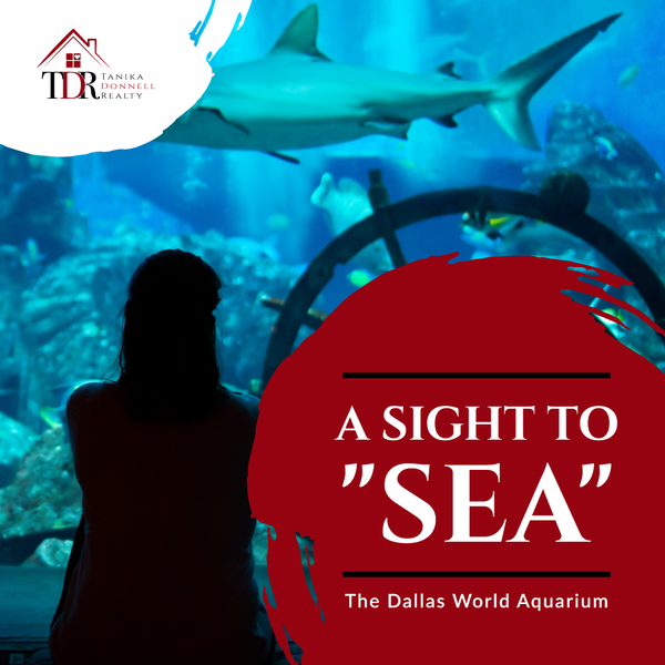 A Sight To "Sea": The Dallas World Aquarium ,Kenny Donnell