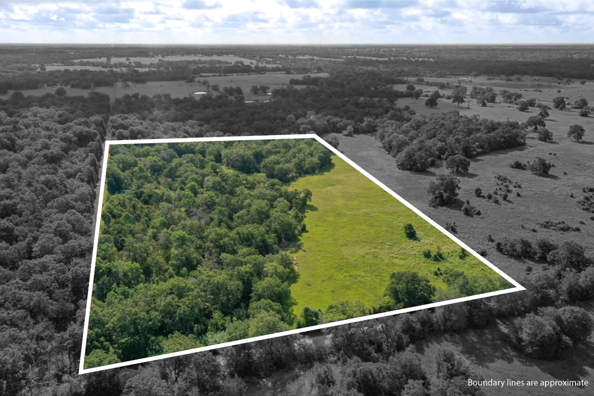 3909 Donaho Rd #Tract 1, North Zulch, TX 77872