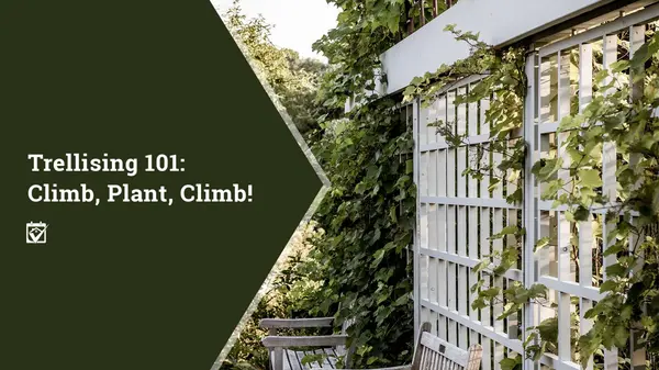 Trellising 101: Climb, Plant, Climb!,Shawanda Robinson