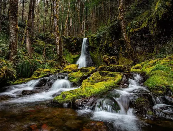 5 Beautiful Waterfalls Near Vancouver WA