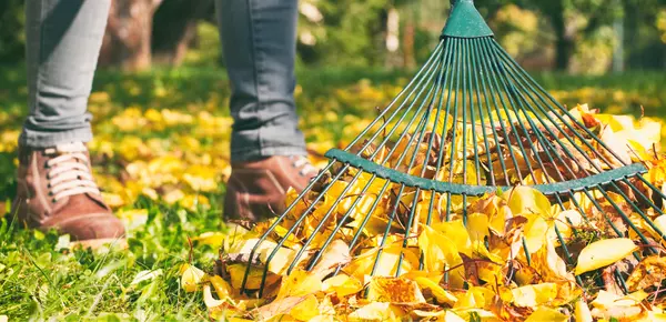 Fall Home Maintenance Projects to Keep Your Home in Tip-Top Shape,Michelle McMaster
