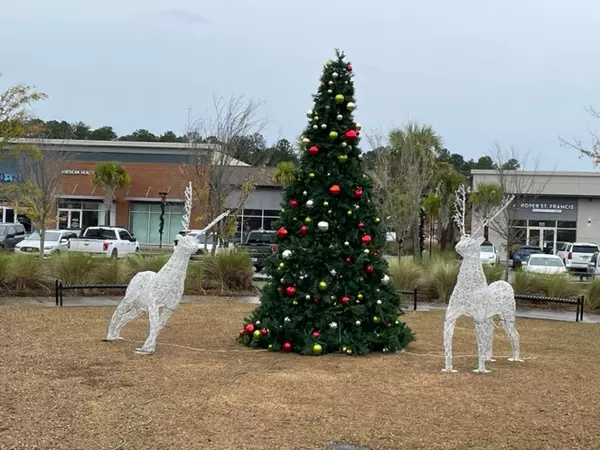 Life in Nexton: Tree Lighting in Nexton Square,Elissa Campbell