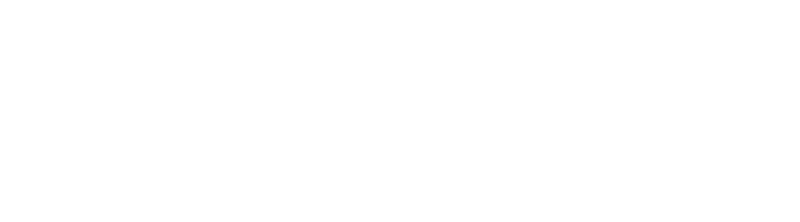 CTDG Word logo white 800-2