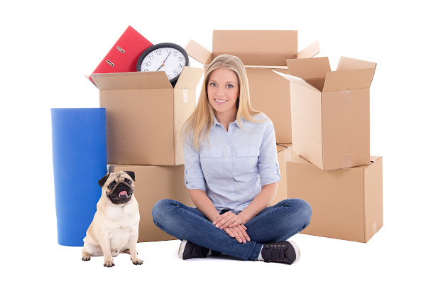 Moving with your pet