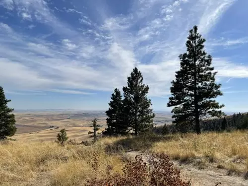 Exploring the Moran Prairie Neighborhood in Spokane, WA,Haydn Halsted