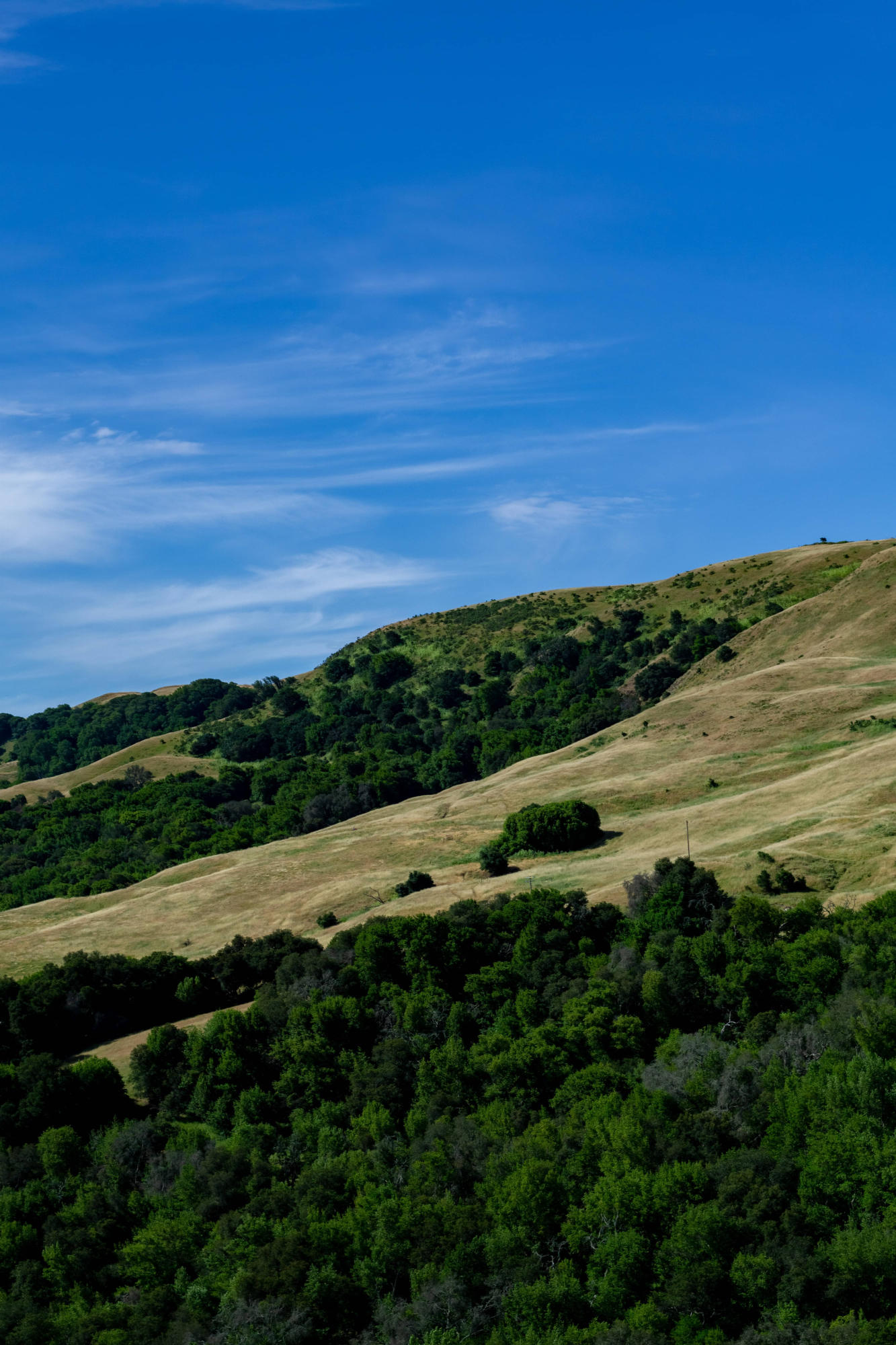 las trampas national park in san ramon ca