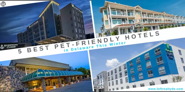 5 Best Pet-friendly Hotels in Delaware This Winter,Zachary Foust