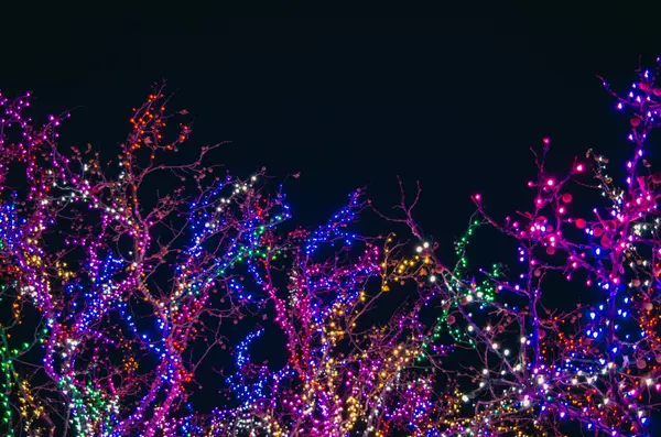 Where To Find the Best Christmas Lights in Portland, Oregon,Jennifer Schurter