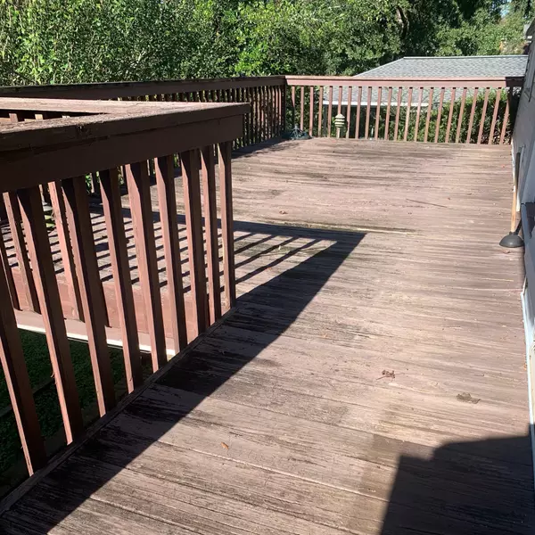 New Year, New Deck!,Karly McCormack