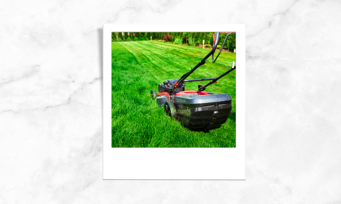 Photo of a person using a lawn mower