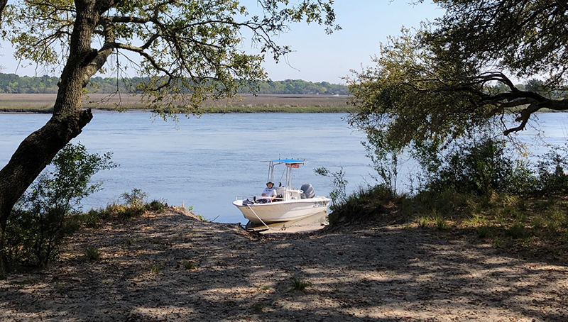 Wolf island, sc from a boat