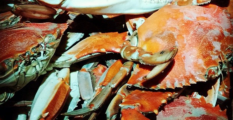 boiled crabs