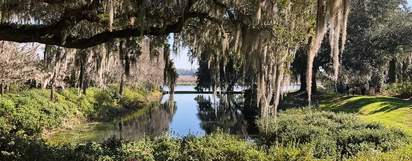 What Does Lowcountry Mean?,Ashley Melton