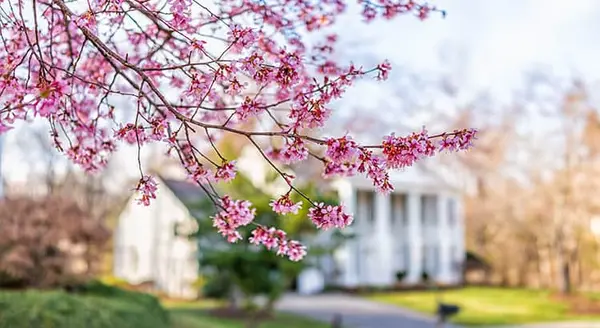 This Spring Presents Sellers with a Golden Opportunity,Jennifer Gascon